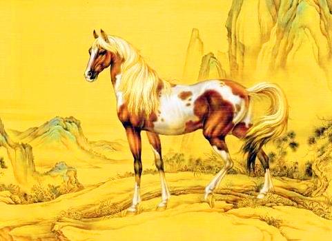 打一特马开什么生肖、的故事与寓意 打一特马开什么生肖、的故事与寓意