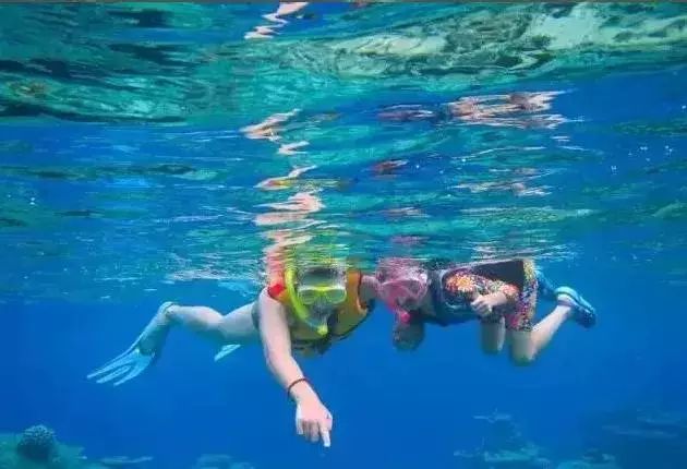 海水打一生肖、落实相信的解释