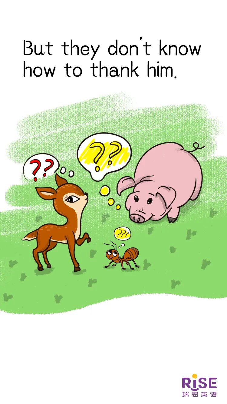 乐于助人打一生肖，生肖牛的温暖诠释