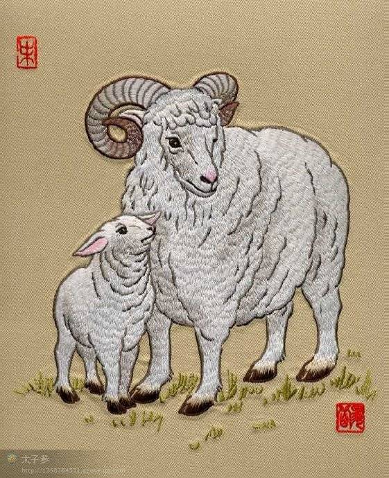 群猴捞月打一生肖，解密与趣谈