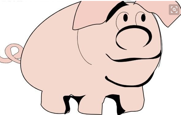 肥头大耳是什么生肖?深度解释落实