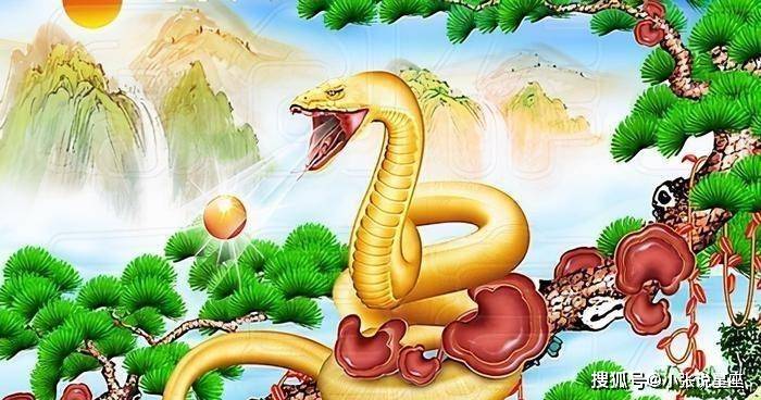 参天贰地与生肖之谜,精选解析与落实的详细结果 参天贰地与生肖之谜,精选解析与落实的详细结果