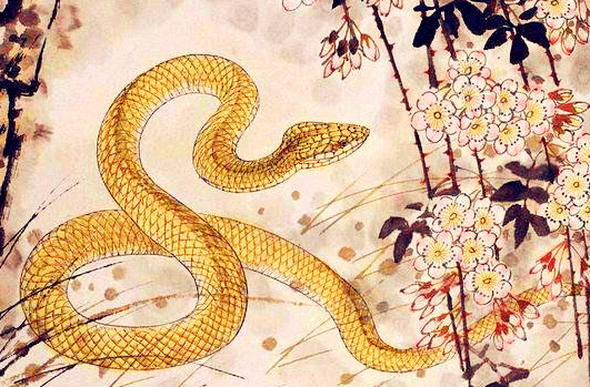 三十六计与生肖的智慧迷踪,以蛇为例,探索策略与信任的奥秘 三十六计与生肖的智慧迷踪,以蛇为例,探索策略与信任的奥秘