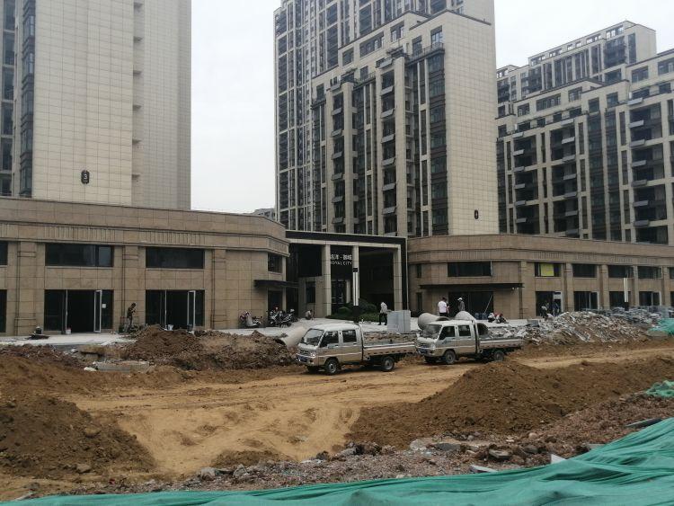 霸王条款与生肖之谜，一场文化与法律的奇妙碰撞