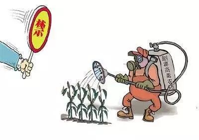 农药打一生肖、与积极行动的完美结合