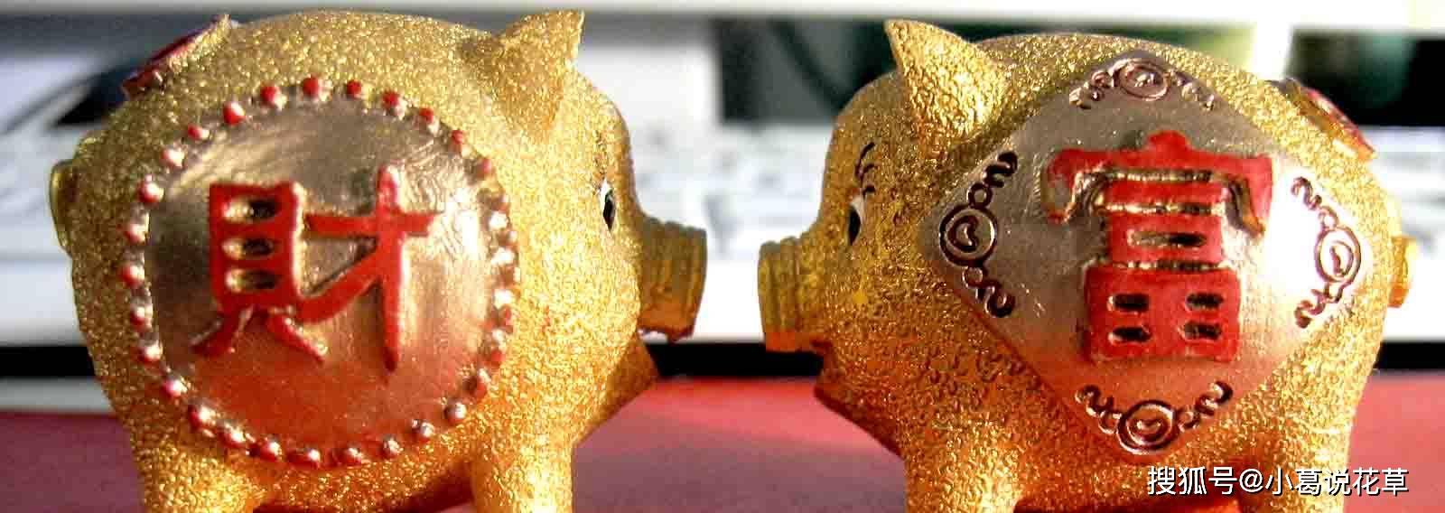 蜡打一生肖、落实相信的解释