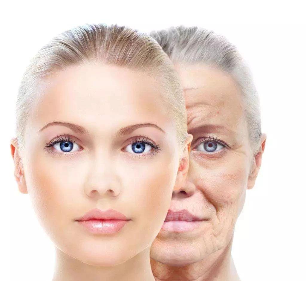 皱纹打一生肖、积极解释与落实的转变 皱纹打一生肖、积极解释与落实的转变