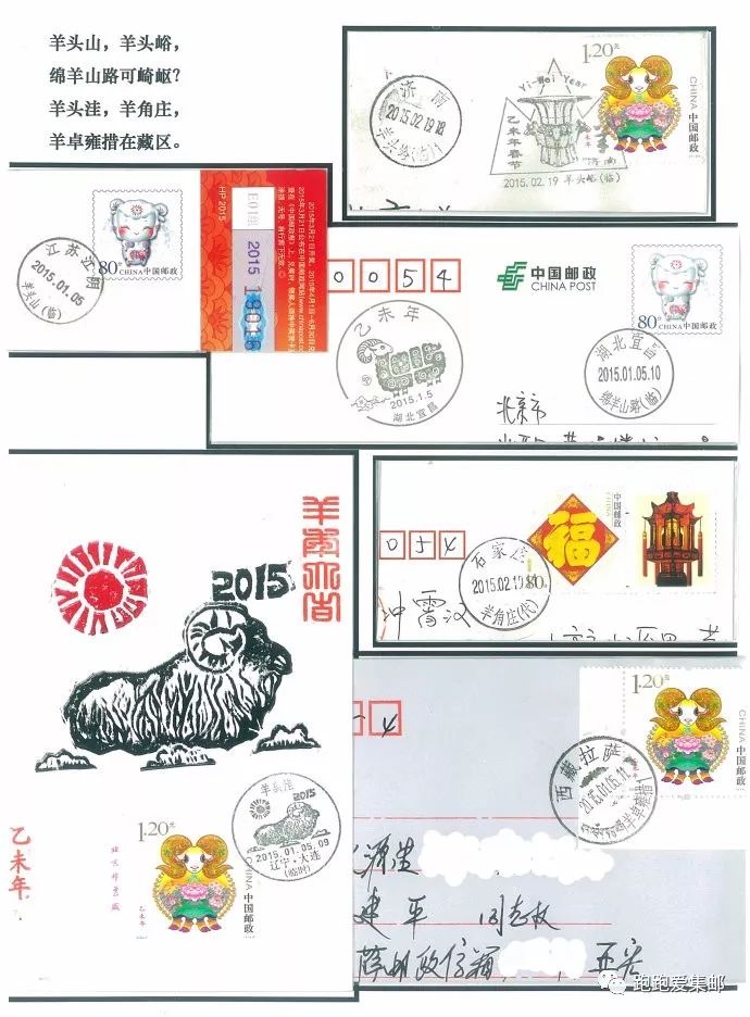 金花绽放解生肖奥秘,一场文化与智慧的深度探索 金花绽放解生肖奥秘,一场文化与智慧的深度探索