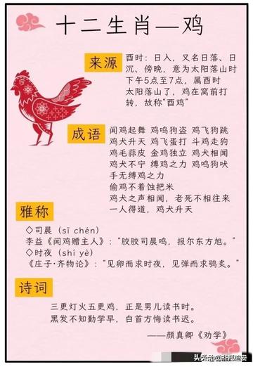 衣冠禽兽打一生肖、全面揭晓解释落实