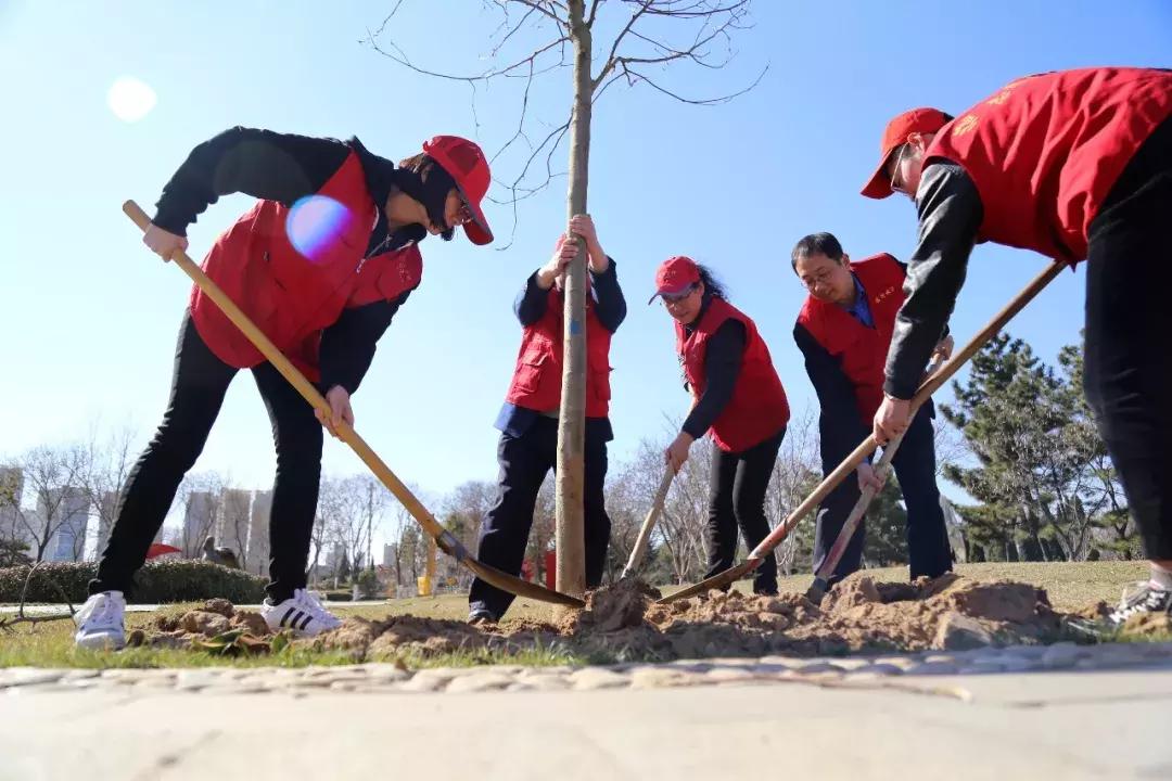 春回大地，舞动生机的生肖与时代热议的落实