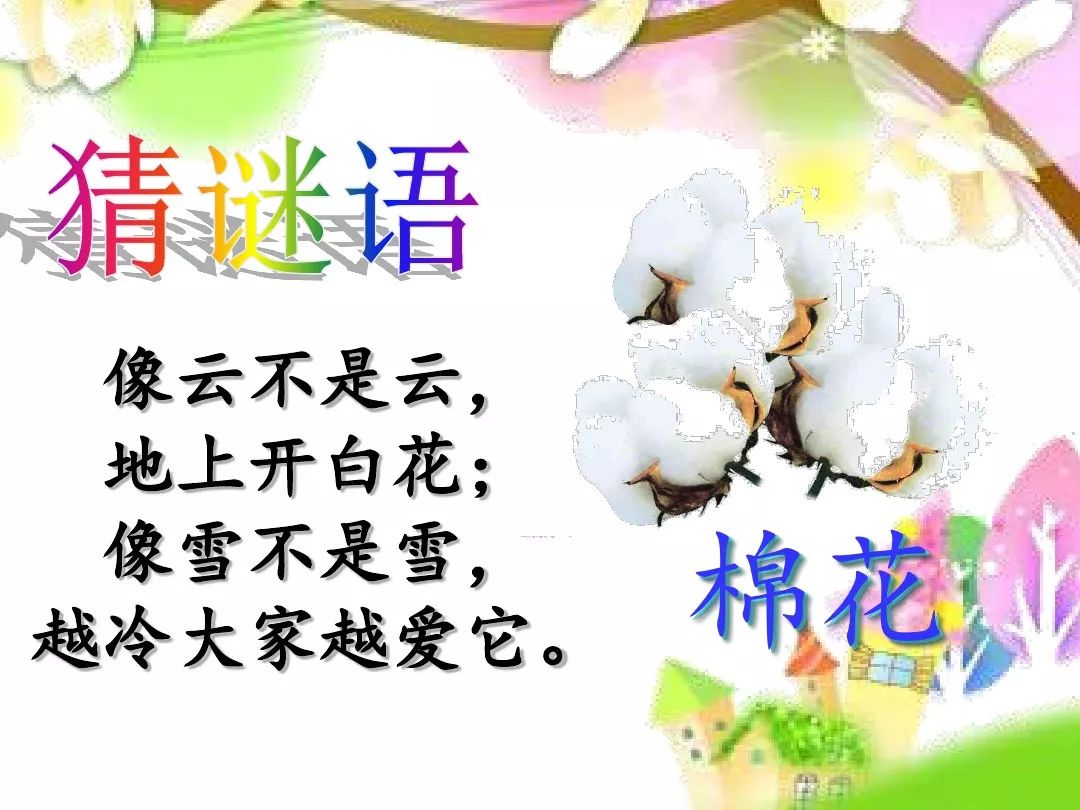 春雨打一生肖、精选解析与落实的详细结果 春雨打一生肖、精选解析与落实的详细结果