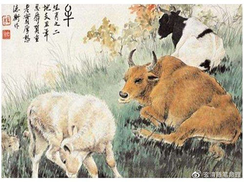 草芥人命打一生肖、新型作答落实解释