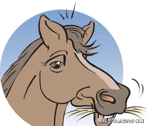 土头生肖打一肖,解密与智慧的碰撞 土头生肖打一肖,解密与智慧的碰撞