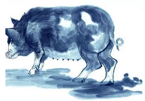 吃肉之肖,人人知—揭秘生肖背后的文化与智慧 吃肉之肖,人人知—揭秘生肖背后的文化与智慧