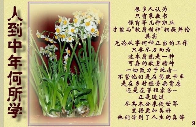 傲然挺立打一生肖、通常作答落实解释 傲然挺立打一生肖、通常作答落实解释