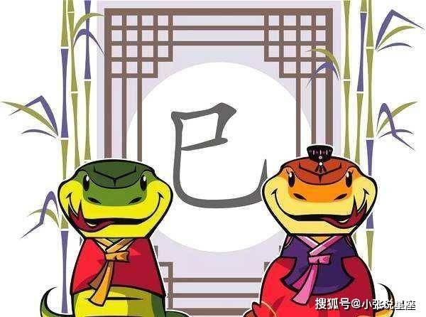 三言两语结夫妻打一生肖、通常解释落实