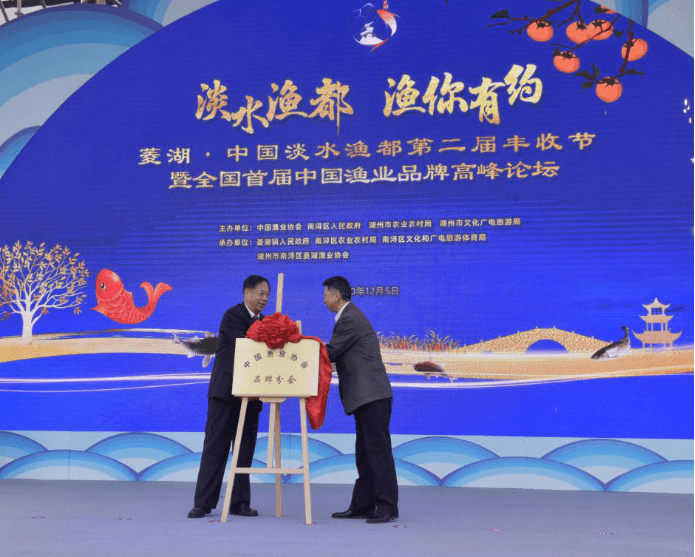 乘玉打一生肖，科技与神秘交织的数字仪式