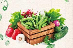 火金木猜特打一生肖,民间智慧与生肖文化的巧妙融合 火金木猜特打一生肖,民间智慧与生肖文化的巧妙融合