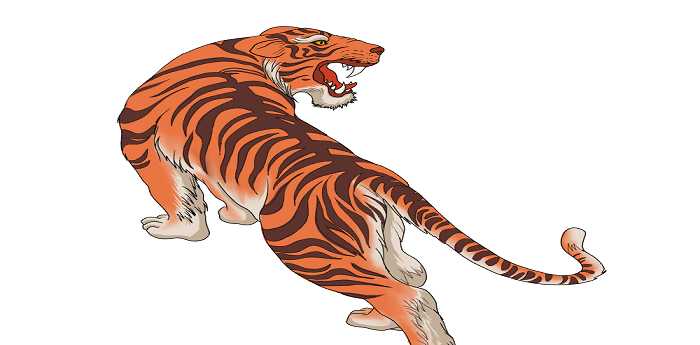 燕颔虎须打一生肖、积极解释落实