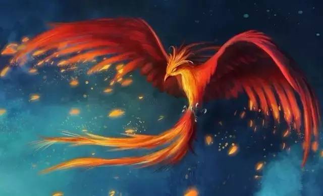 景星凤凰与龙，成就解释落实的智慧