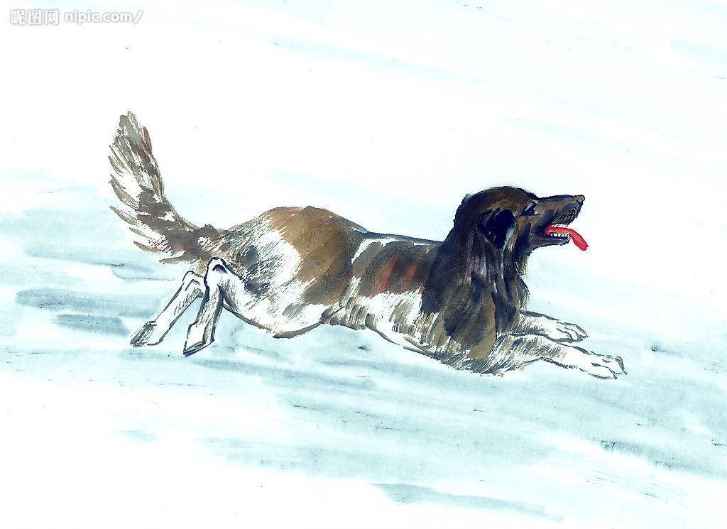 犬马之劳是什么生肖、怎样落实解释