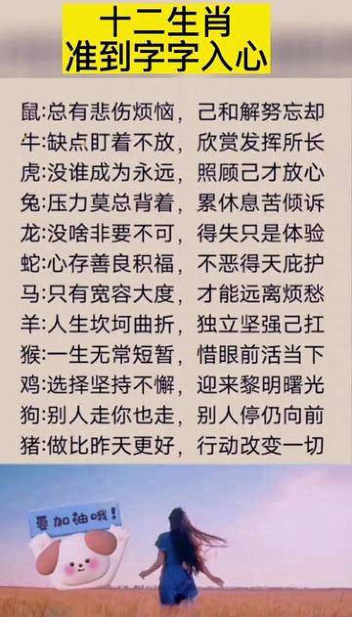 满字打一生肖，寓意与生活的正确解读与落实