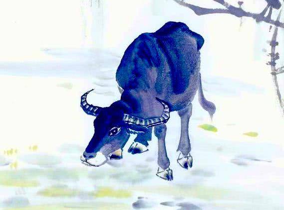 冷冷清清打一生肖、解释与落实的和谐共舞