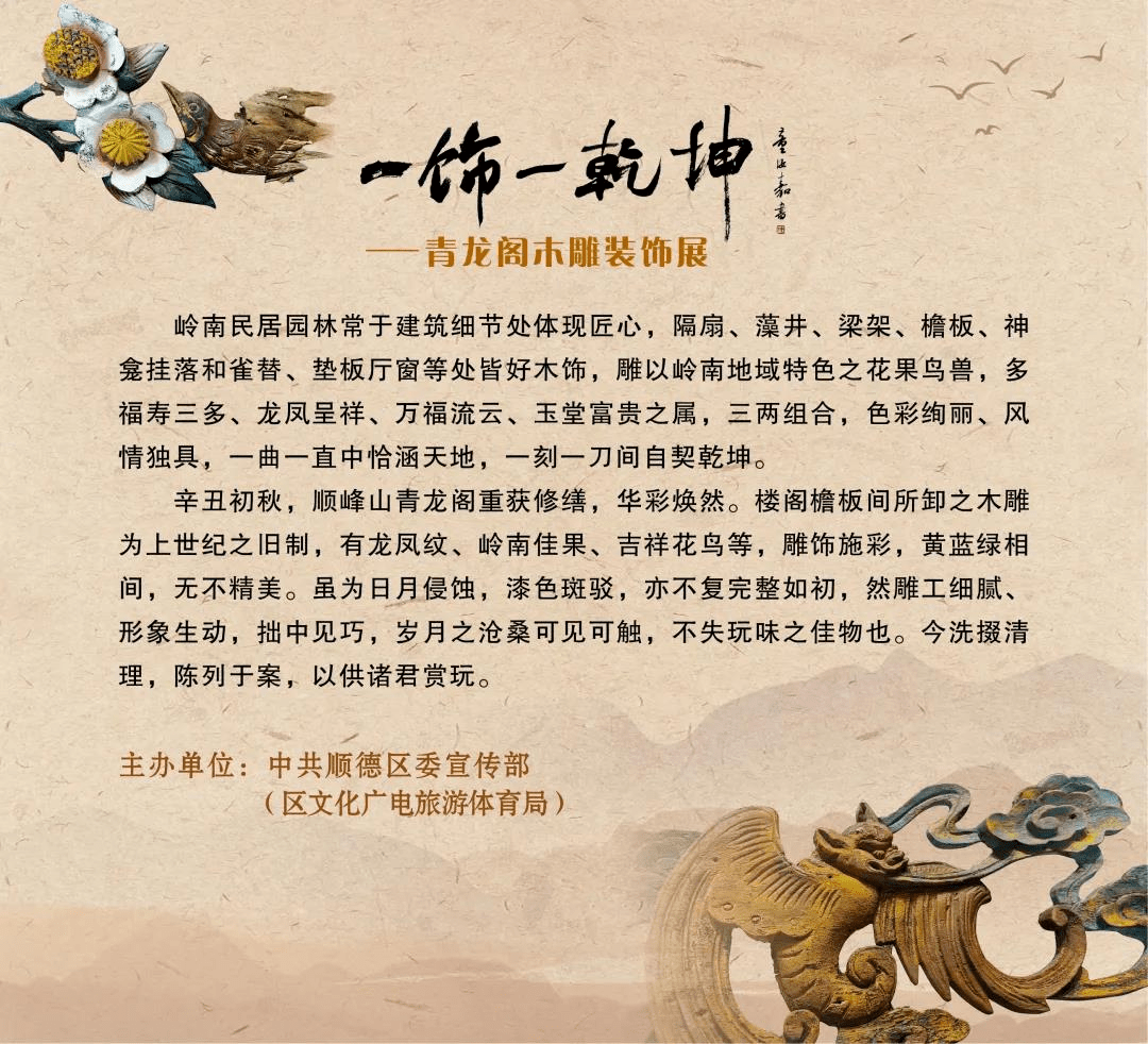 梅花三弄与生肖之谜，热议中的文化解读与落实行动