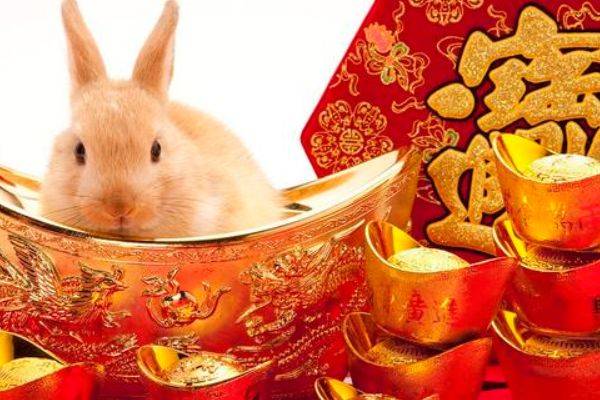 亲上加亲,生肖中的兔与牛—一种文化与智慧的象征 亲上加亲,生肖中的兔与牛—一种文化与智慧的象征