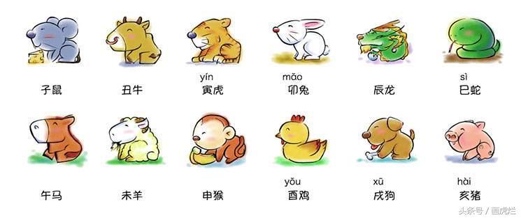 禽兽打一生肖、正确解释与落实