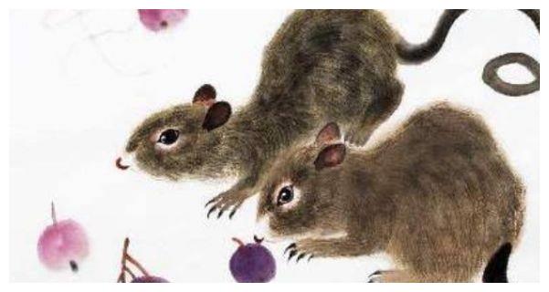 眼睛最小的打一生肖、通用解释落实