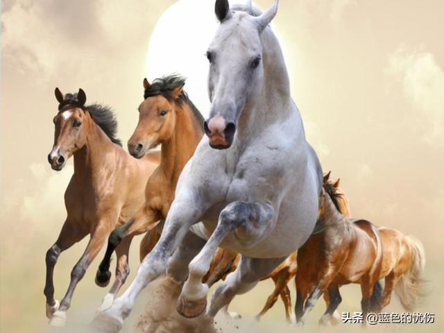 死搬硬套打一生肖、马上为你揭晓落实