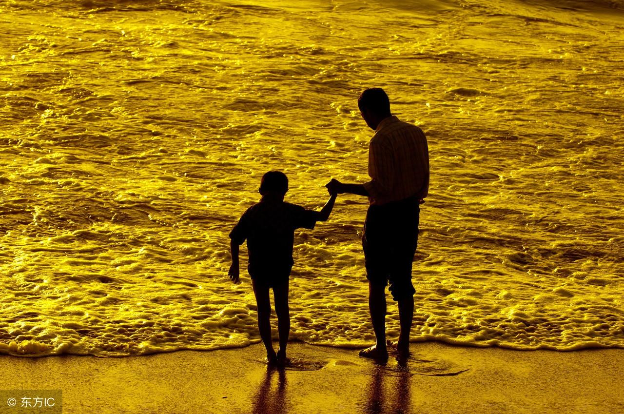 歌打一生肖，探寻生肖背后的奥秘与解释