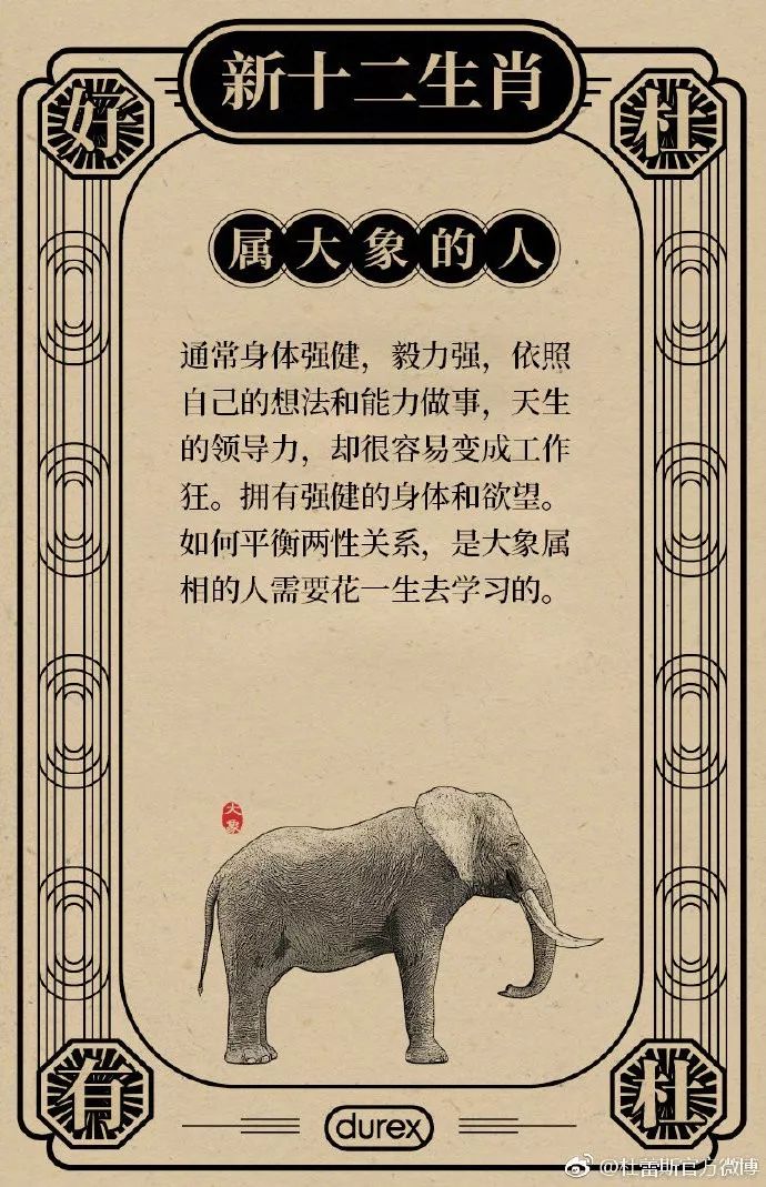 象打一生肖、谜底即将揭晓