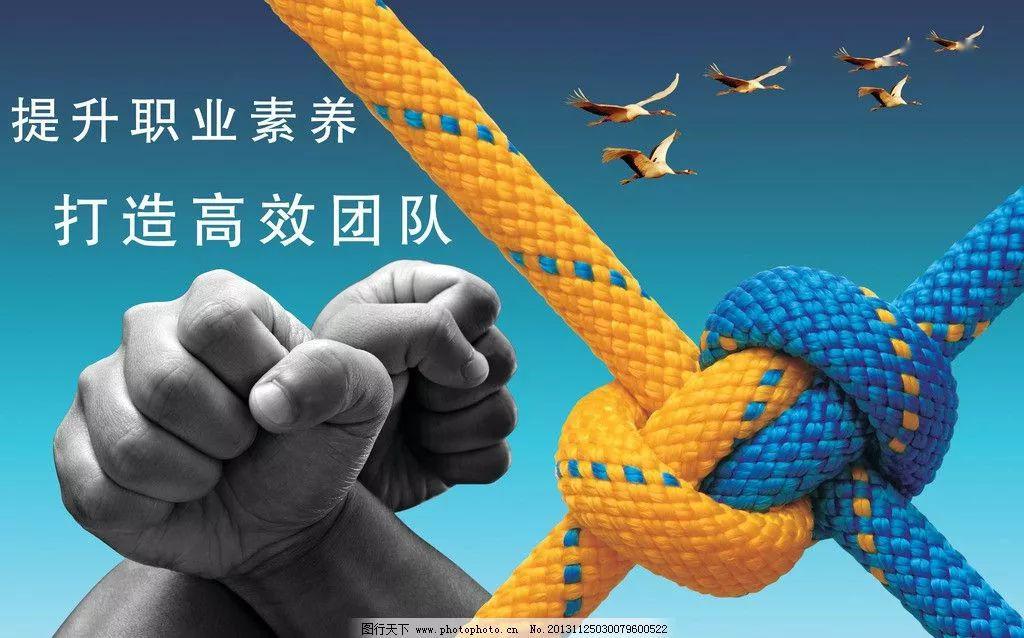 团结作答，揭秘杀鸡取卵背后的生肖智慧与团队力量