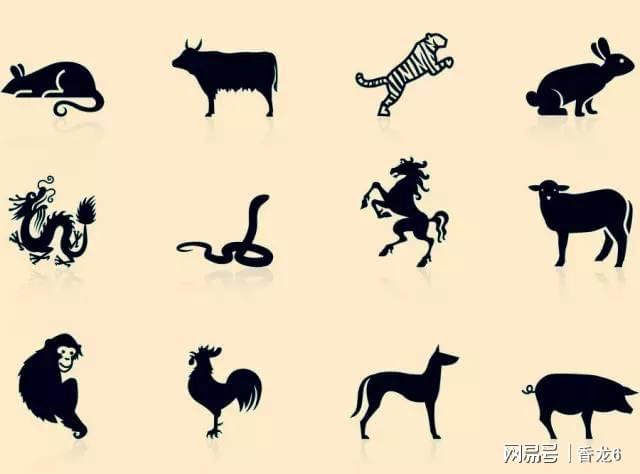 形单影只时打一生肖、中蕴含的哲理 形单影只时打一生肖、中蕴含的哲理