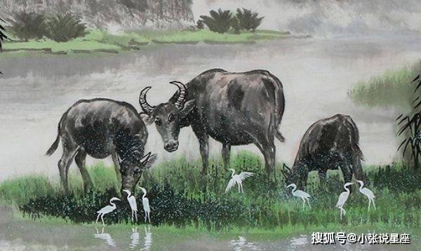 丰姿绰约打一生肖、奥秘解释落实