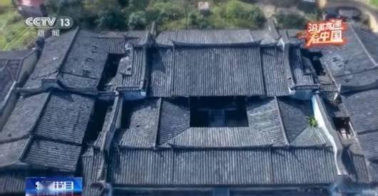 双红生肖打一生肖、揭秘背后的文化寓意