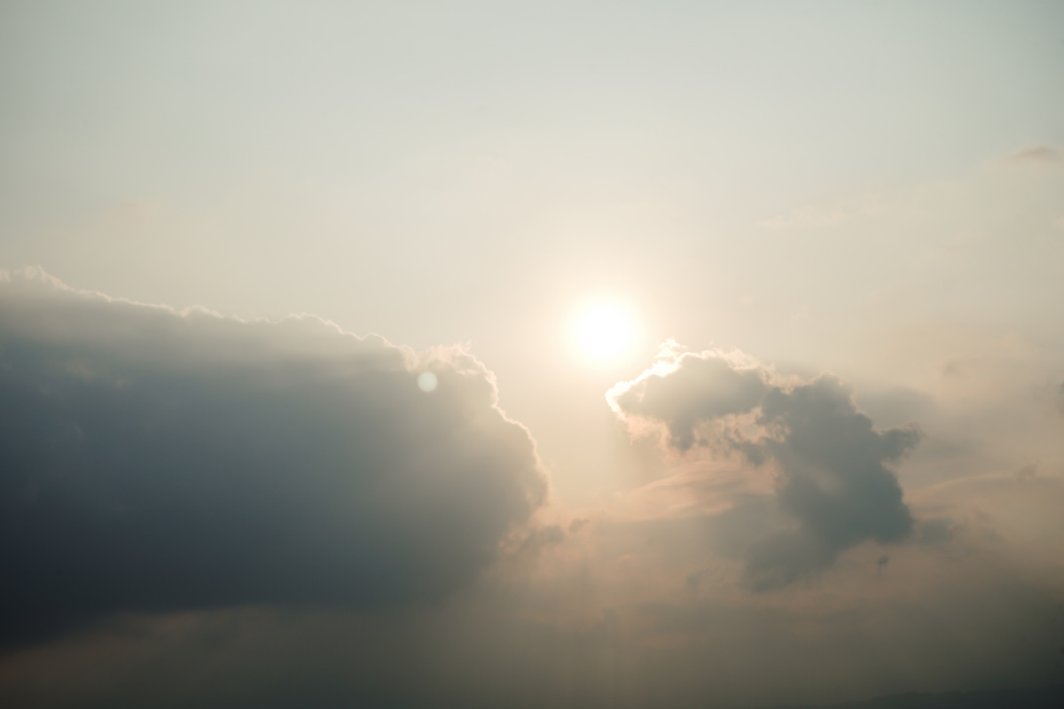 拨云见日是什么生肖?选择作答落实解释 拨云见日是什么生肖?选择作答落实解释