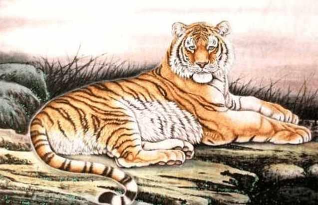 驱羊攻虎打一生肖、详细作答落实解释 驱羊攻虎打一生肖、详细作答落实解释