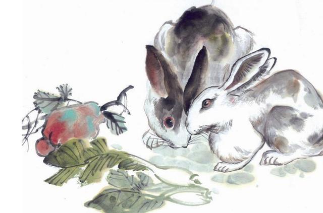 俽字打一生肖，兔的神秘故事与深刻寓意