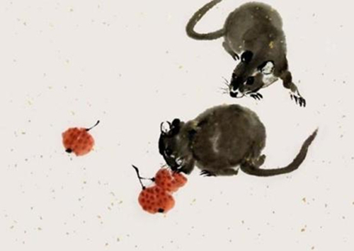 太平打一生肖，智慧与勇气的完美结合—以鼠为例