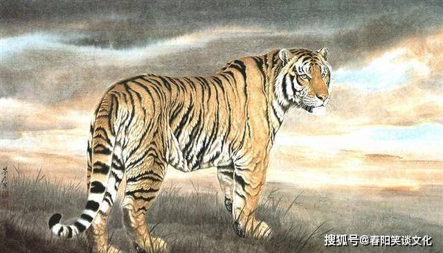 双木成林打一生肖、深度解析与文化寓意