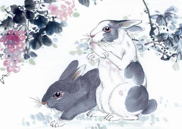 太太是特马打一生肖、之谜与人生哲理的深度解析