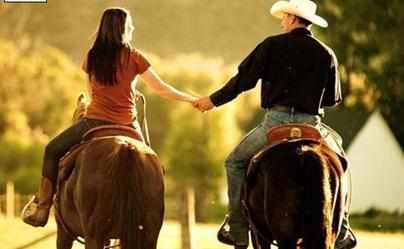 打一生肖，探寻沉稳背后的智慧与策略