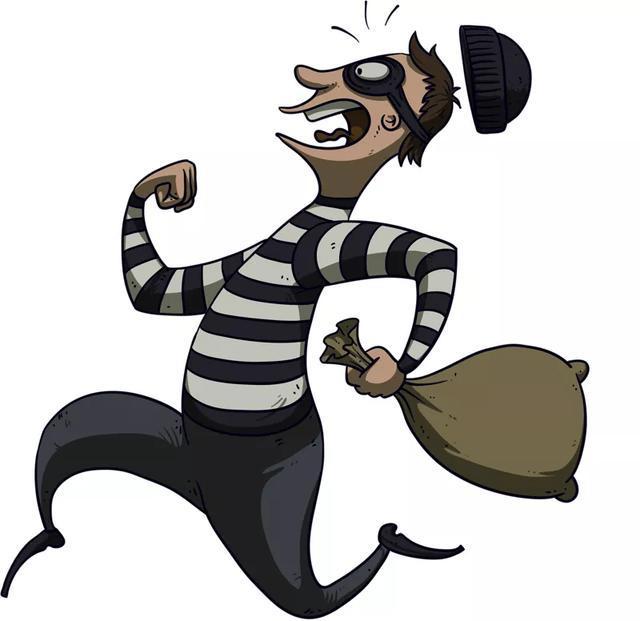 捉贼见赃是什么生肖:答案全面解释落实