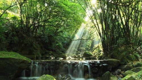 风水宝地打一生肖兔、背后的坚韧与不屈