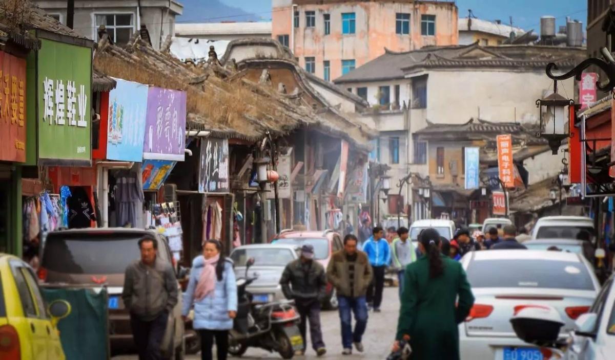 流水游龙与生肖之谜，定量解释的智慧落实