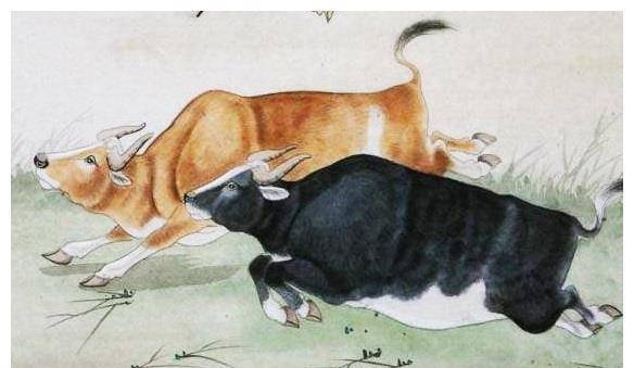 力挽狂澜打一个生肖、谁来落实解答