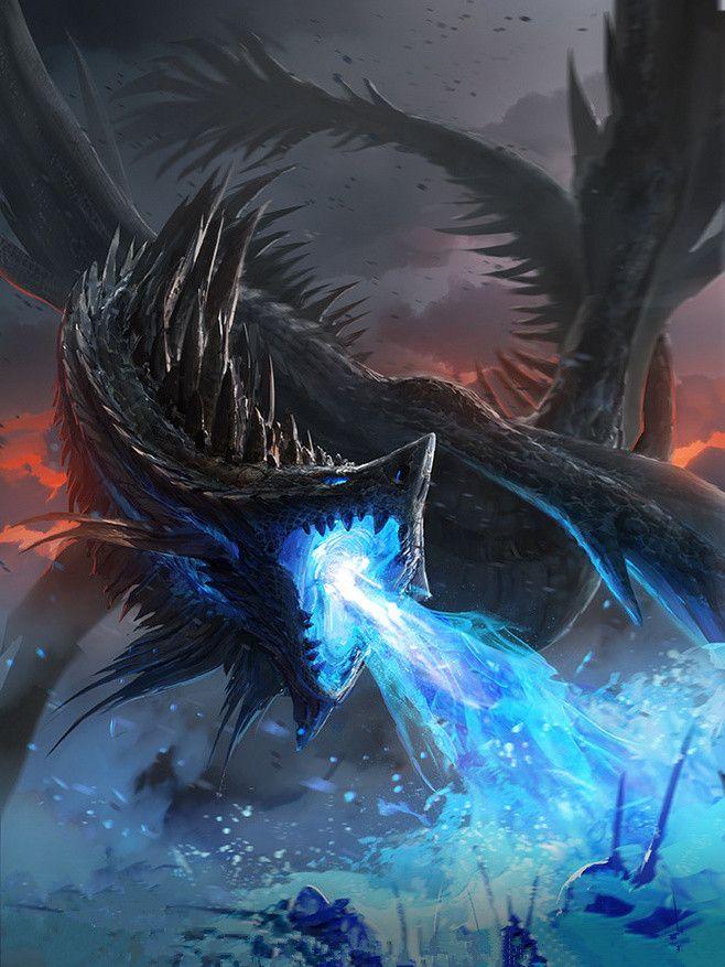 啸龙腾步，生肖之谜的智慧解读与创造作答的落实